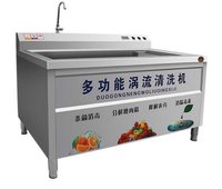 Automatic Cabbage Mustard Pakchoi Disinfection Washing Machine Ultrasonic Tangerine Washer