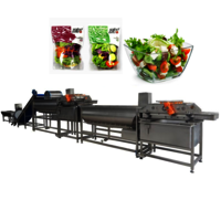 Ydvt-1000c Broccoli Bell Pepper Loofah Vortex Washing Machine Apple Guava Lotus Mist Washer Capacity: 1000-1500 Kg/hr
