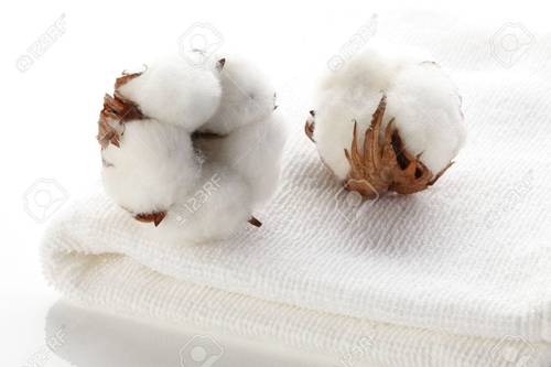 Sudanese Pure Cotton
