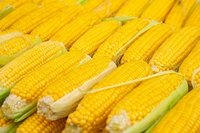 Open Air Yellow  Corn