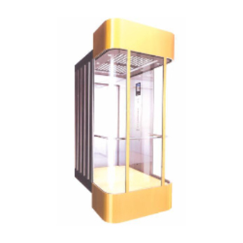 Three Side Glass Elevator with MS Powder Coated Car