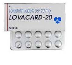 Lovastatin Tablets General Medicines