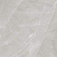 Armani Gris 800x800mm Glossy Porcelain Tiles
