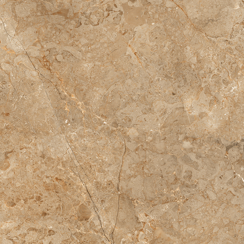 Astonia Brown 800x800mm Glossy Porcelain Tiles