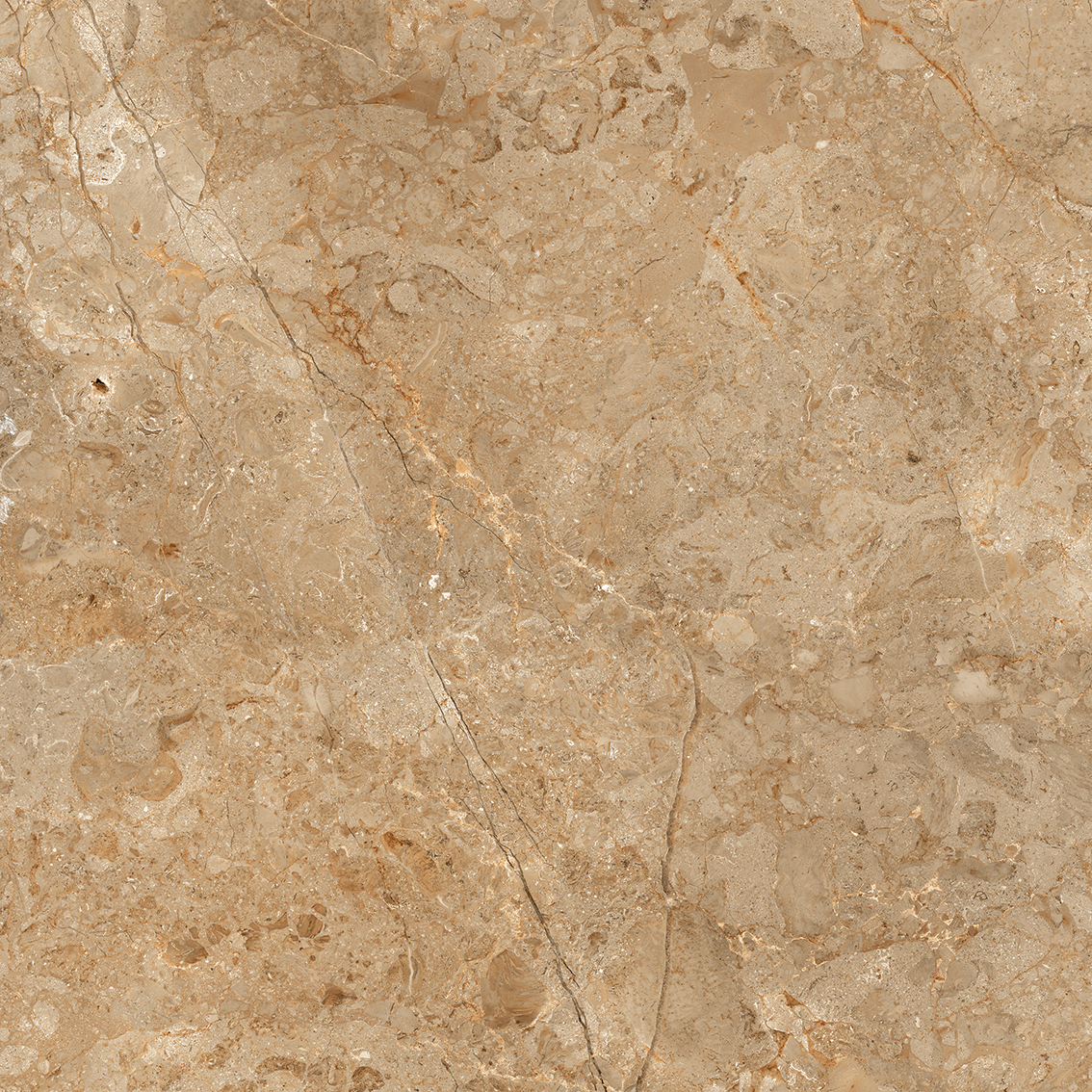 Astonia Brown 800x800mm Glossy Porcelain Tiles
