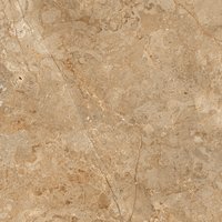 Astonia Brown 800x800mm Glossy Porcelain Tiles