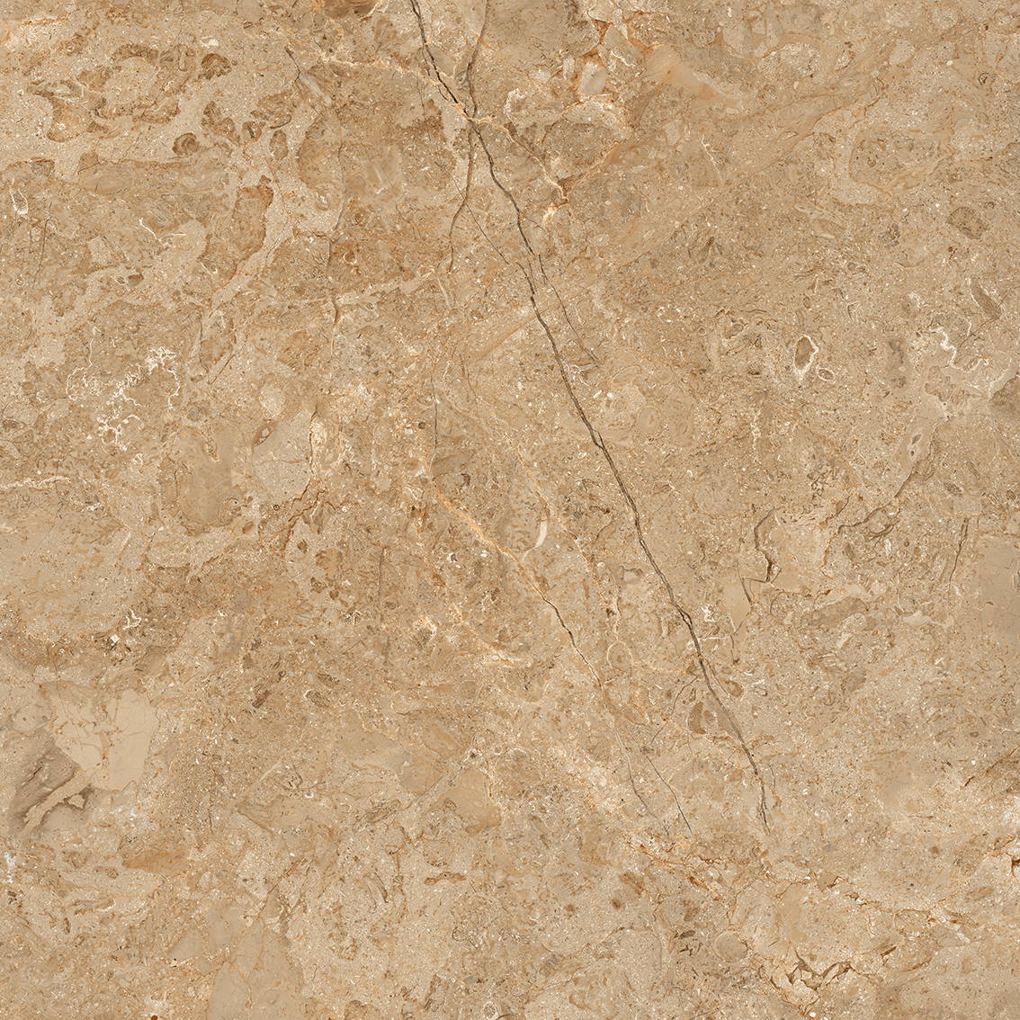 Astonia Brown 800x800mm Glossy Porcelain Tiles
