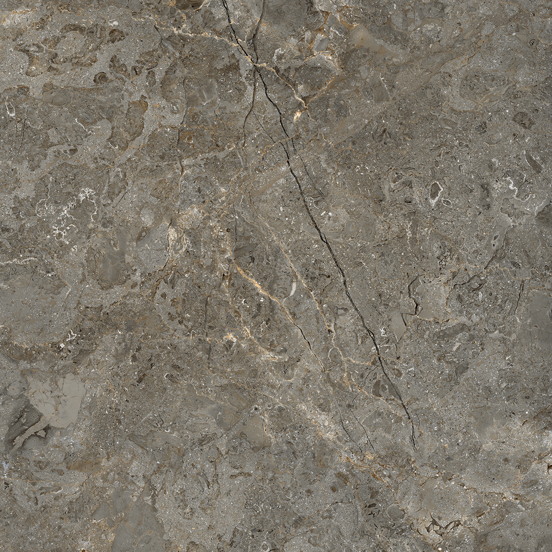 Astonia Gris 800x800mm Glossy Porcelain Tiles