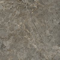 Astonia Gris 800x800mm Glossy Porcelain Tiles