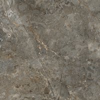 Astonia Gris 800x800mm Glossy Porcelain Tiles