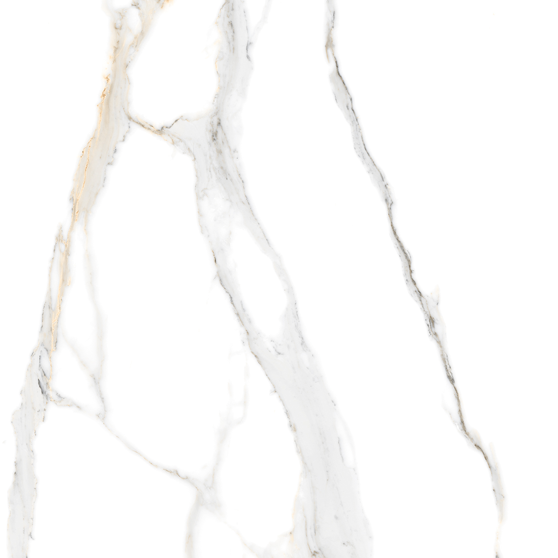 Belmonte Bianco 800x800mm Glossy Porcelain Tiles