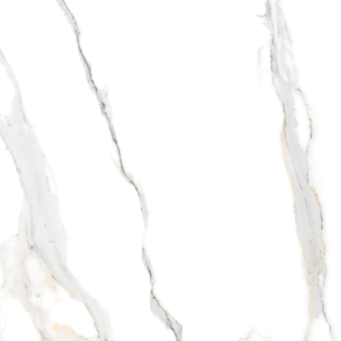 Belmonte Bianco 800x800mm Glossy Porcelain Tiles
