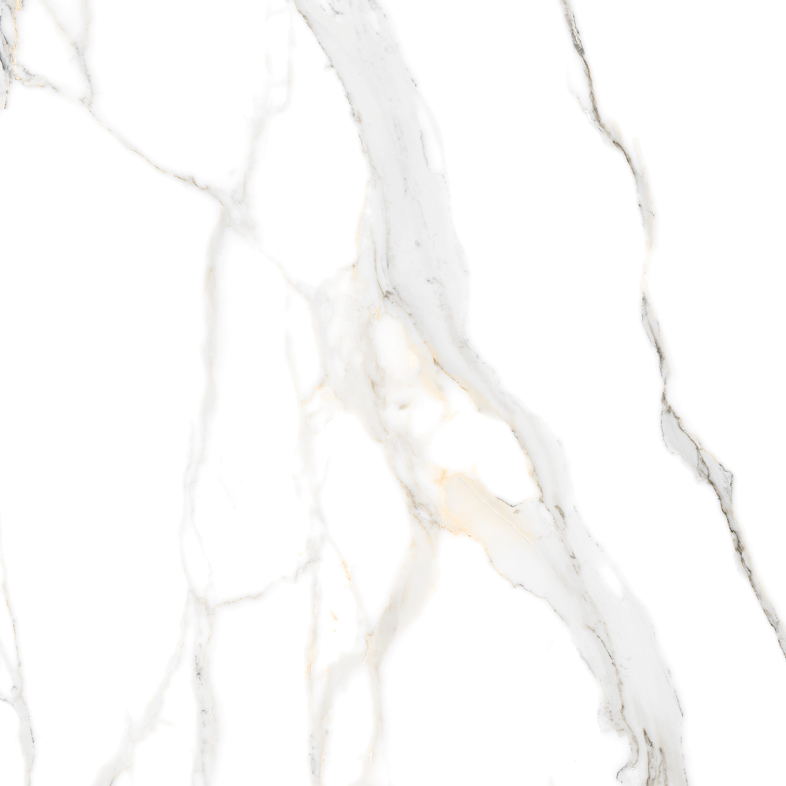 Belmonte Bianco 800x800mm Glossy Porcelain Tiles