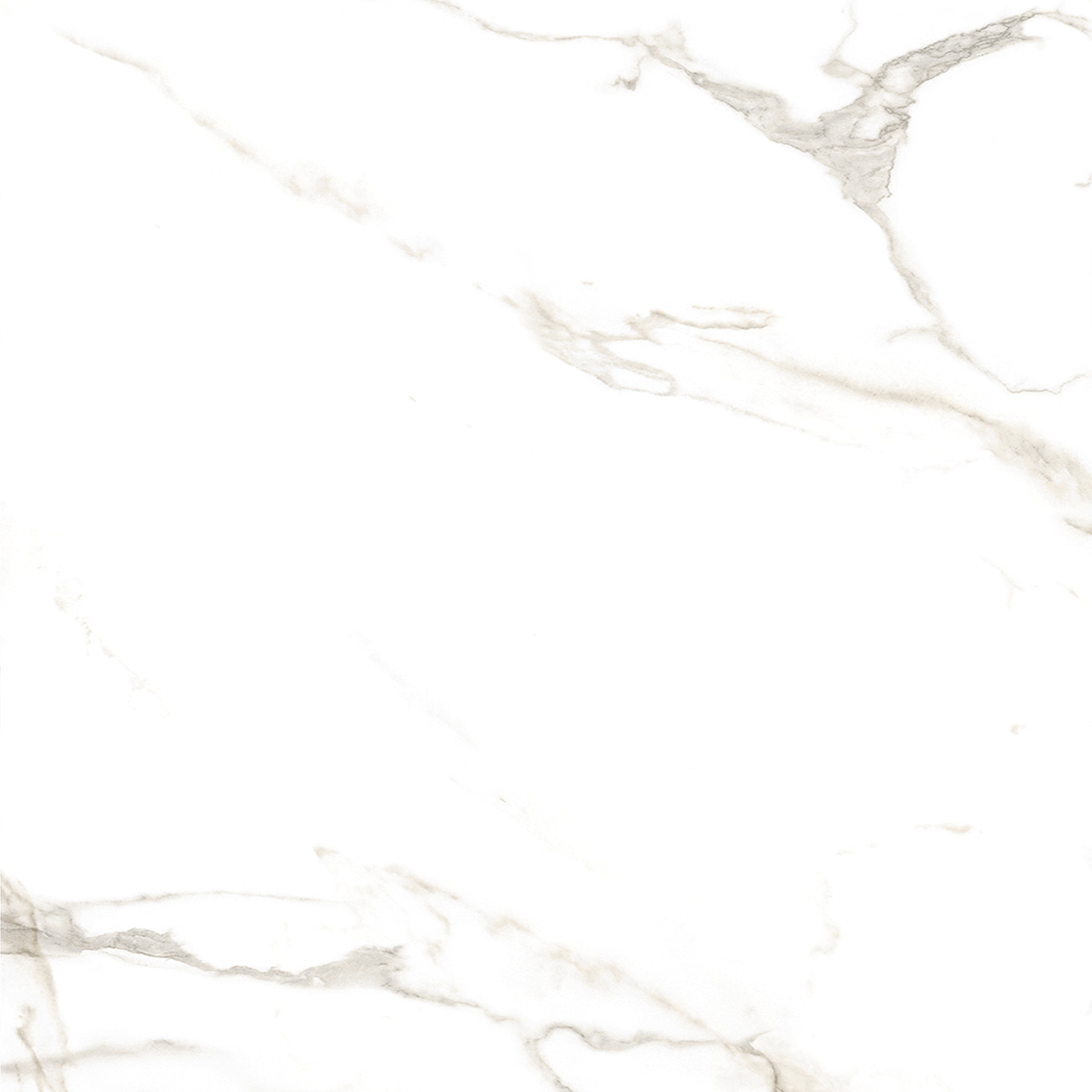 Bianco Cararra 800x800mm Glossy Porcelain Tiles