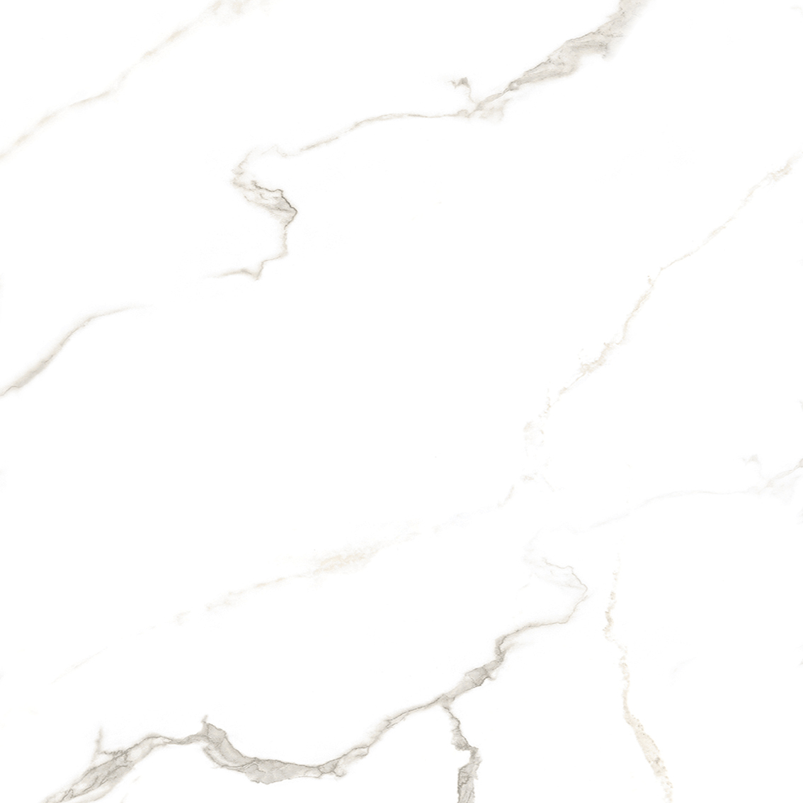 Bianco Cararra 800x800mm Glossy Porcelain Tiles