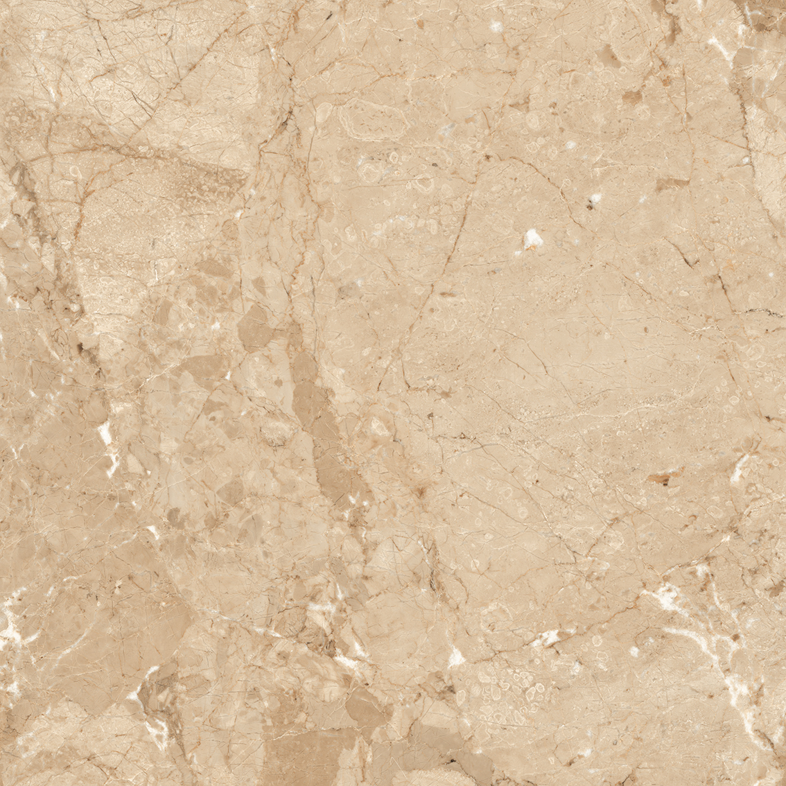 Breccia Brown 800x800mm Glossy Porcelain Tiles