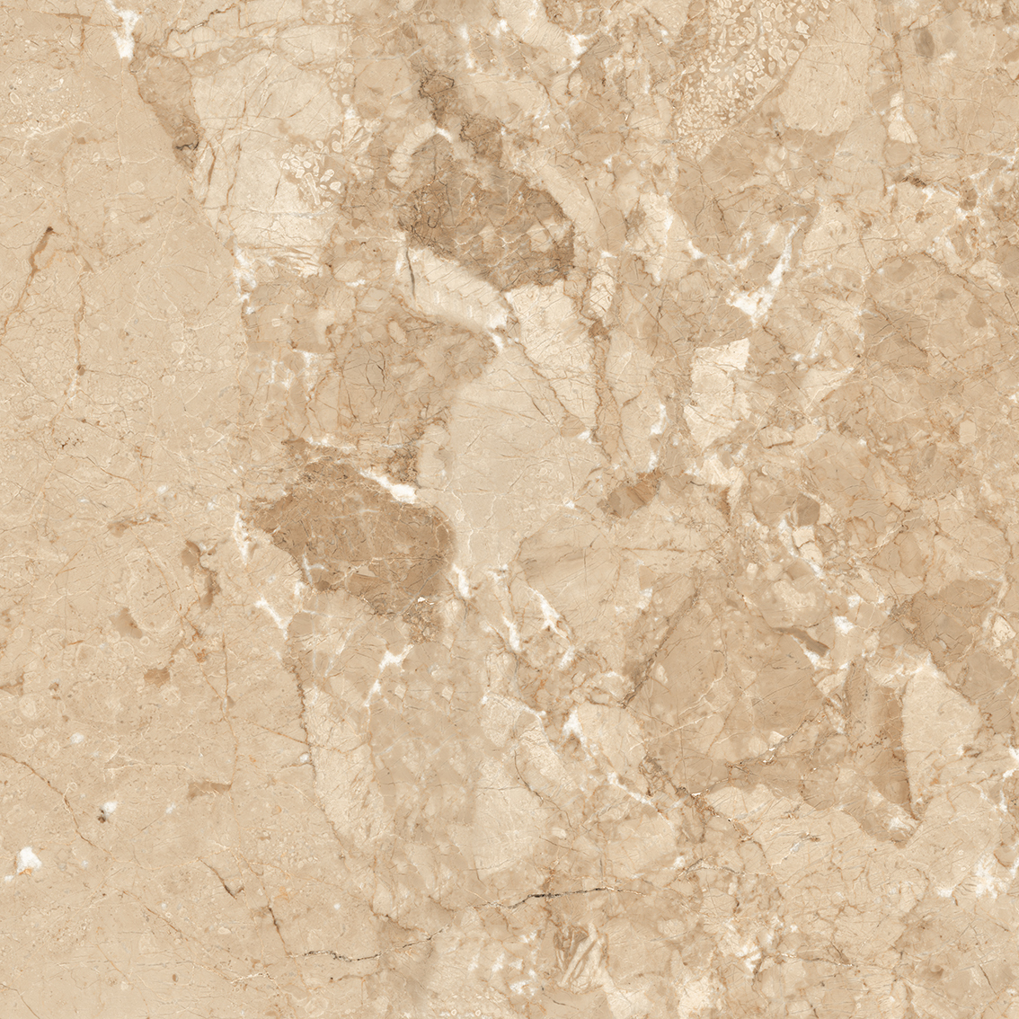 Breccia Brown 800x800mm Glossy Porcelain Tiles