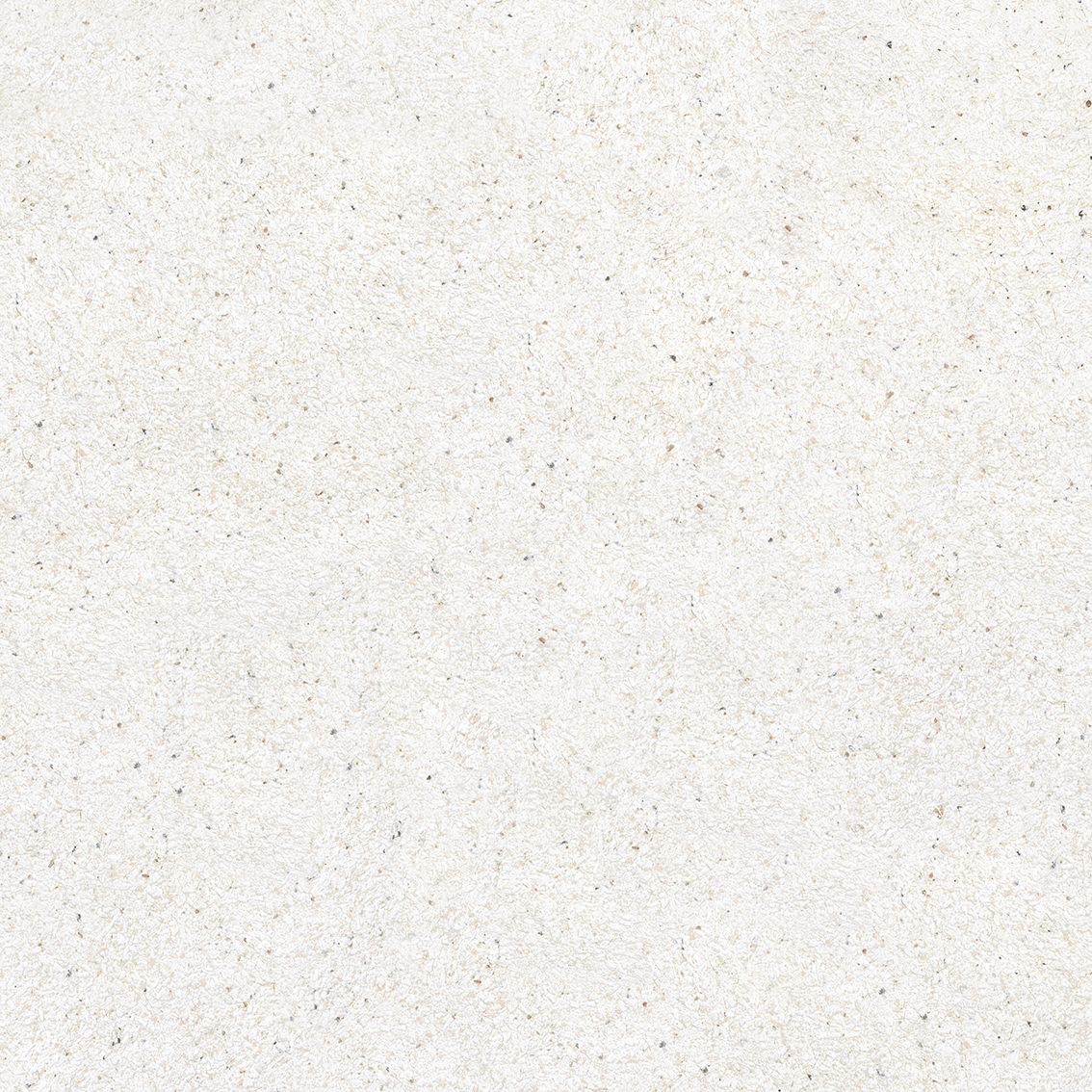 Chamois Crema 800x800m Glossy Porcelain Tiles