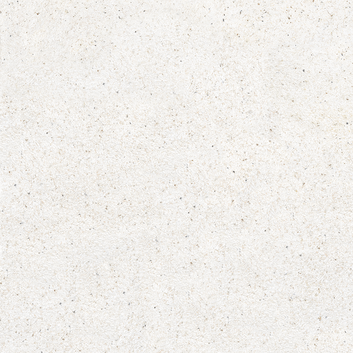 Chamois Crema 800x800m Glossy Porcelain Tiles