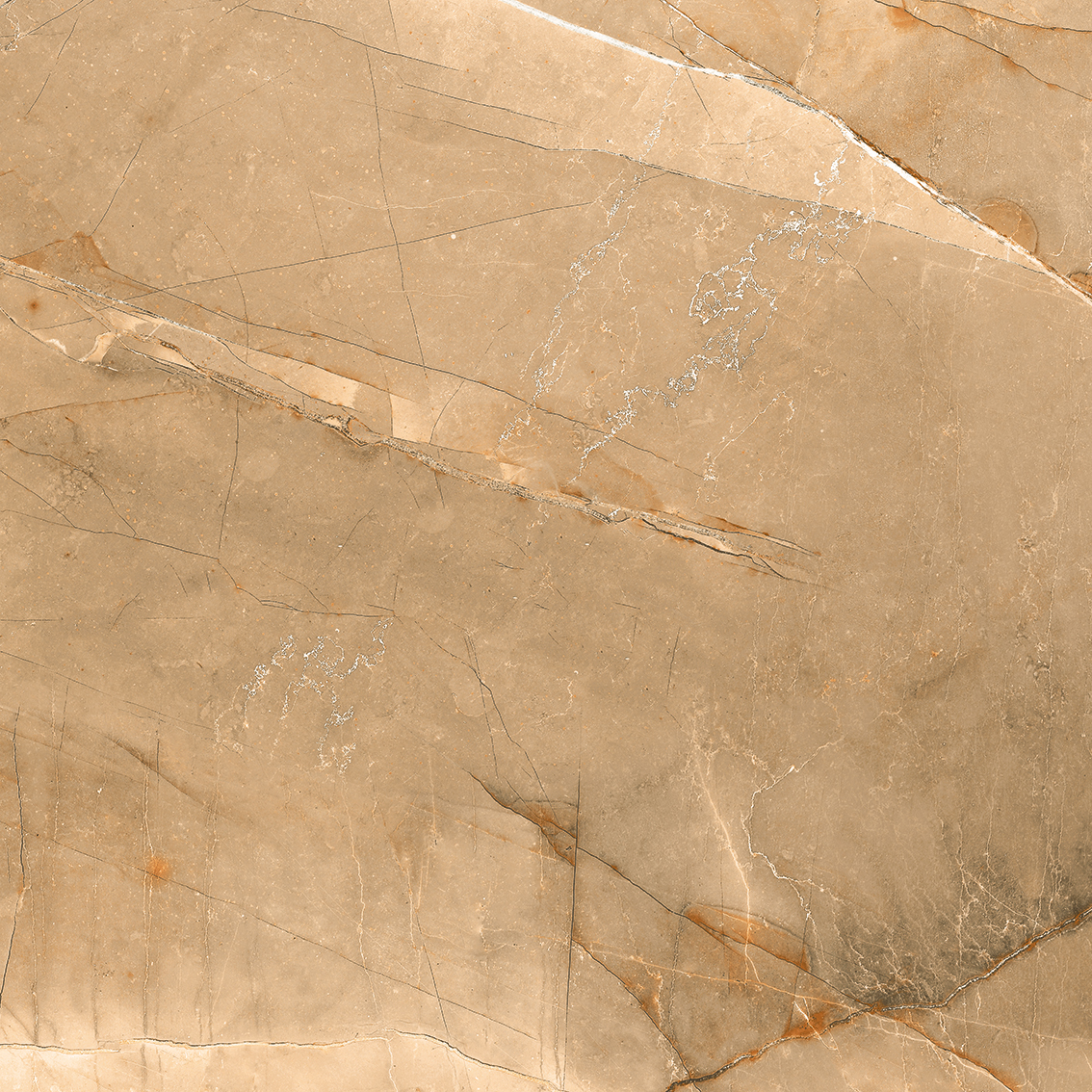 Columbus Almond 800x800mm Glossy Porcelain Tiles