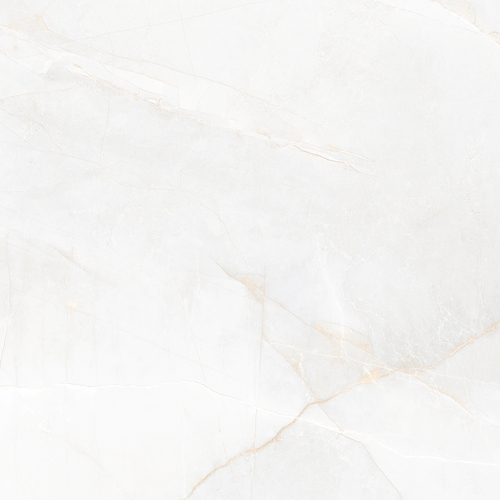 Columbus Bianco 800x800mm Glossy Porcelain Tiles