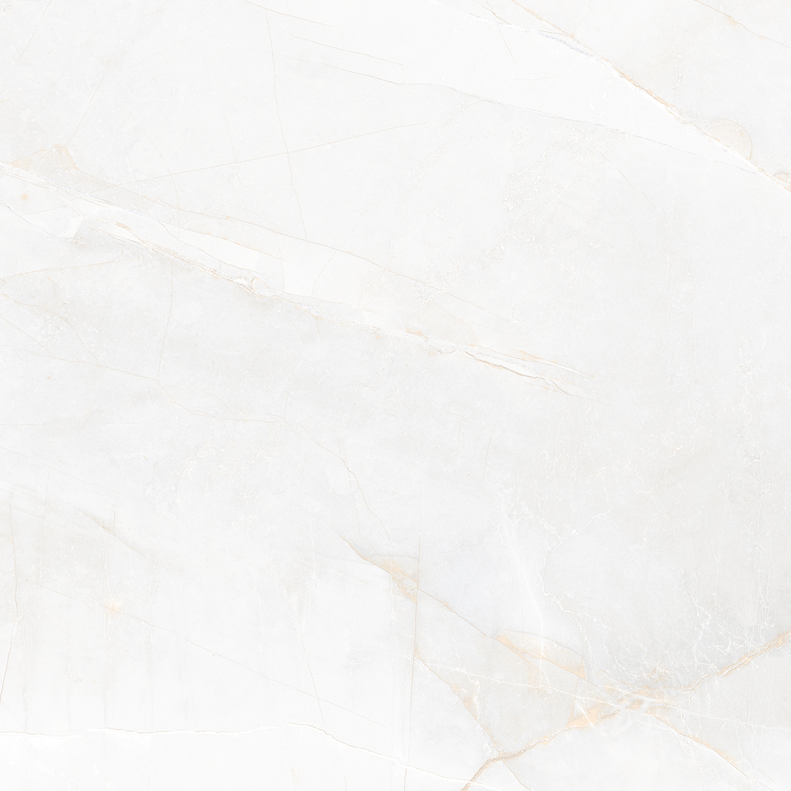 Columbus Bianco 800x800mm Glossy Porcelain Tiles