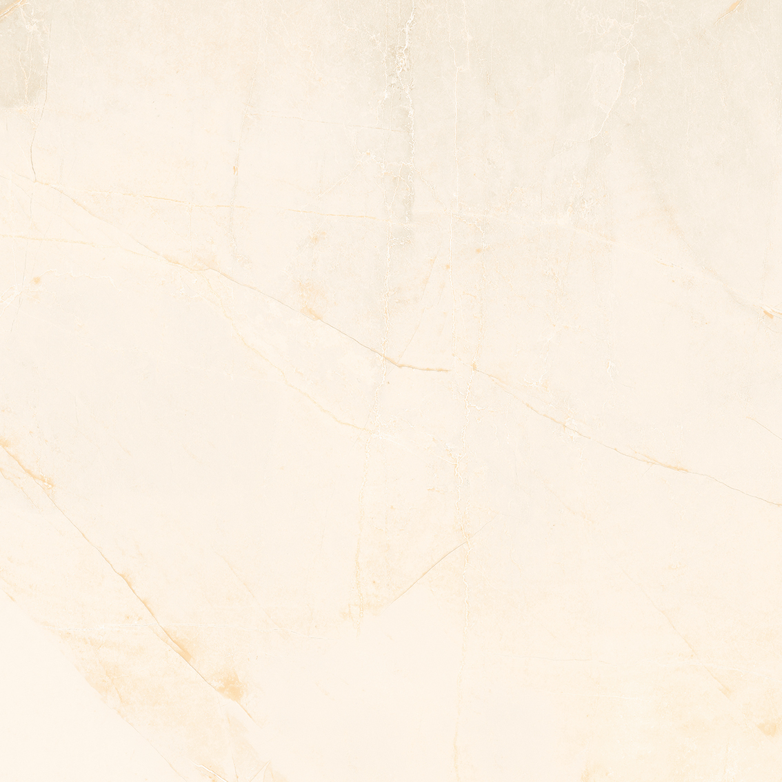 Columbus Crema 800x800mm Glossy Porcelain Tile