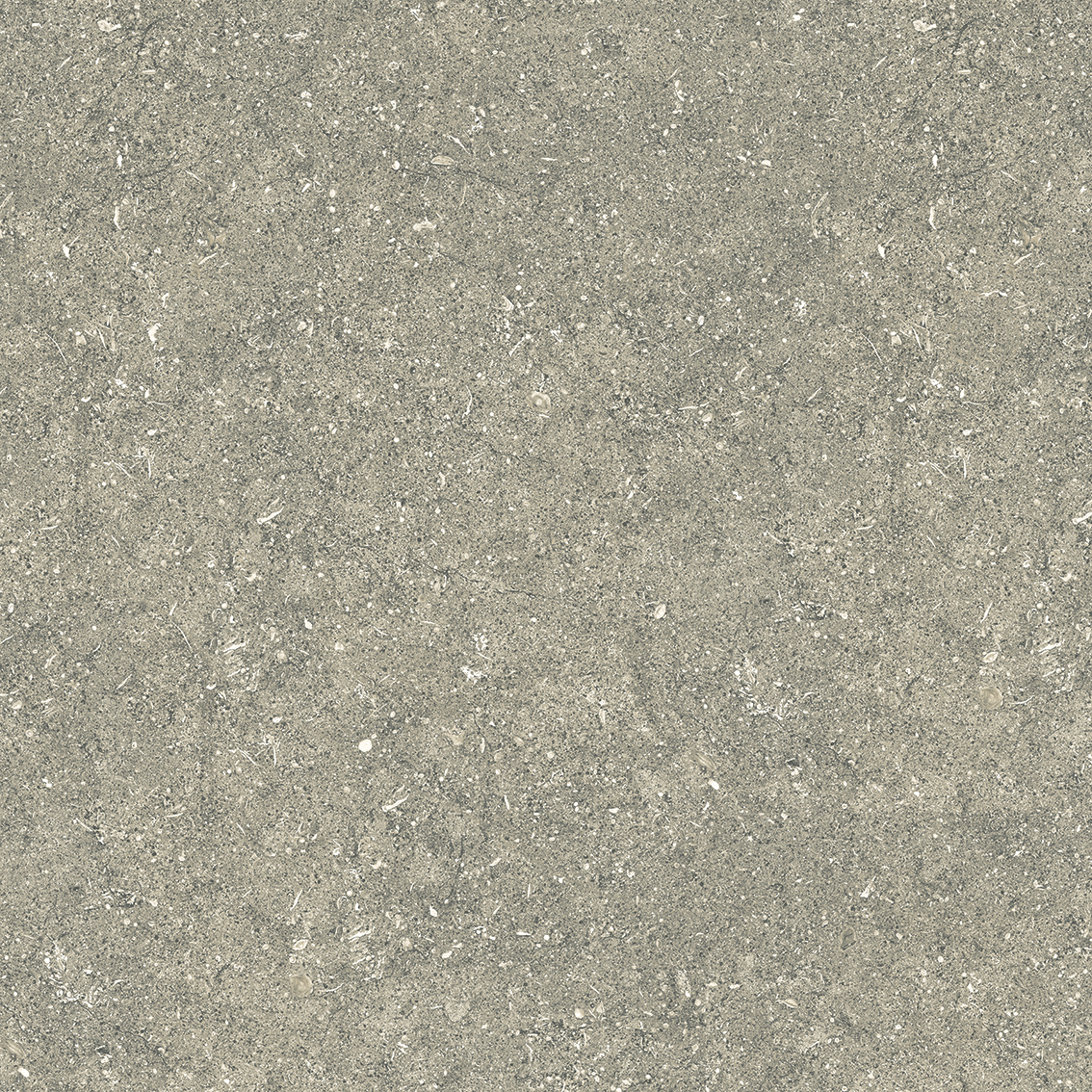Dune Verde 800x800mm Glossy Porcelain Tiles