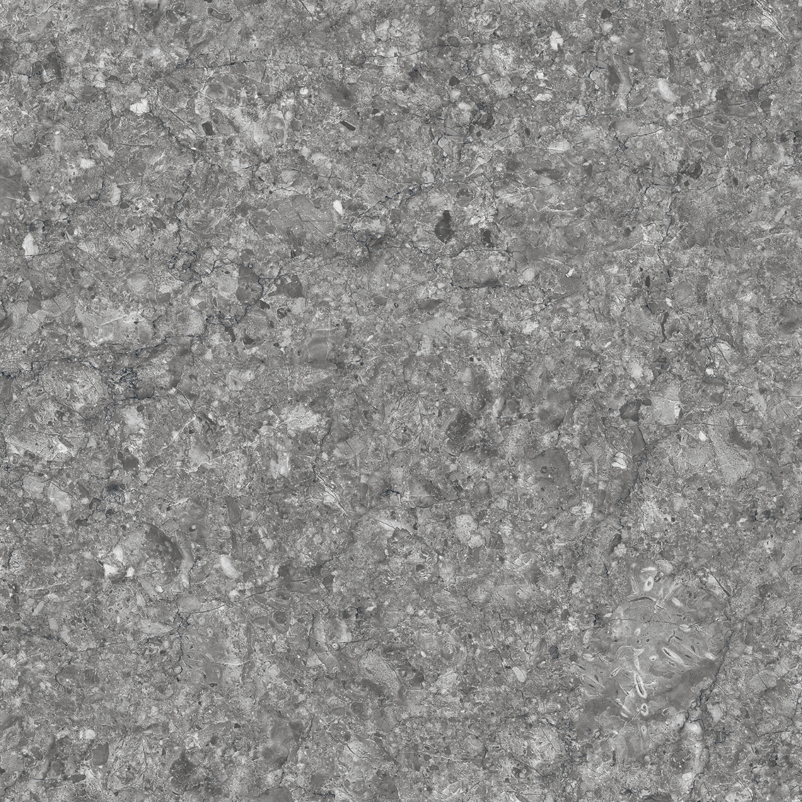 Element Black 800x800mm Glossy Porcelain Tiles