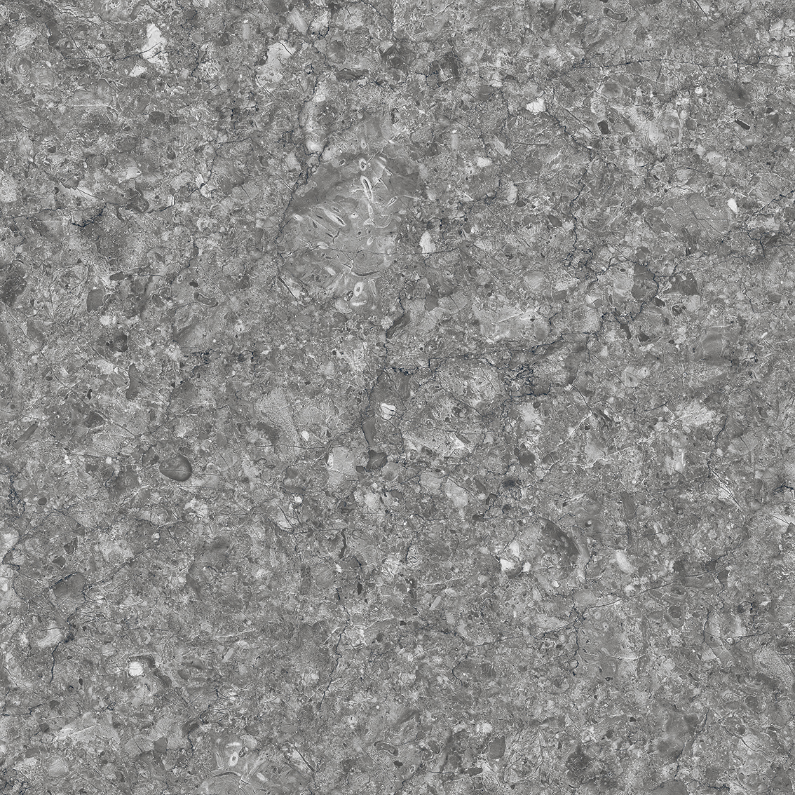 Element Black 800x800mm Glossy Porcelain Tiles