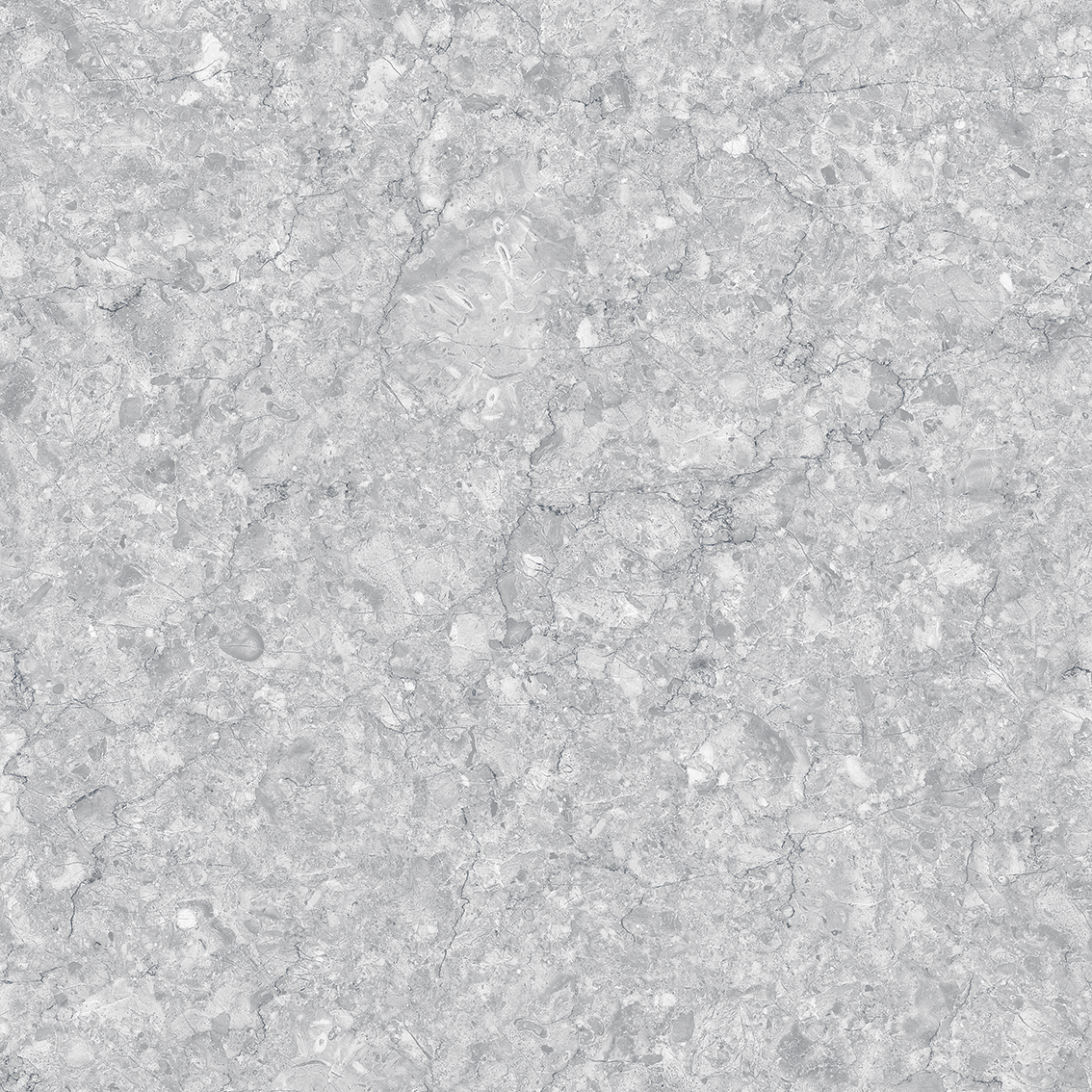 Element Gray 800x800mm Glossy Porcelain Tiles