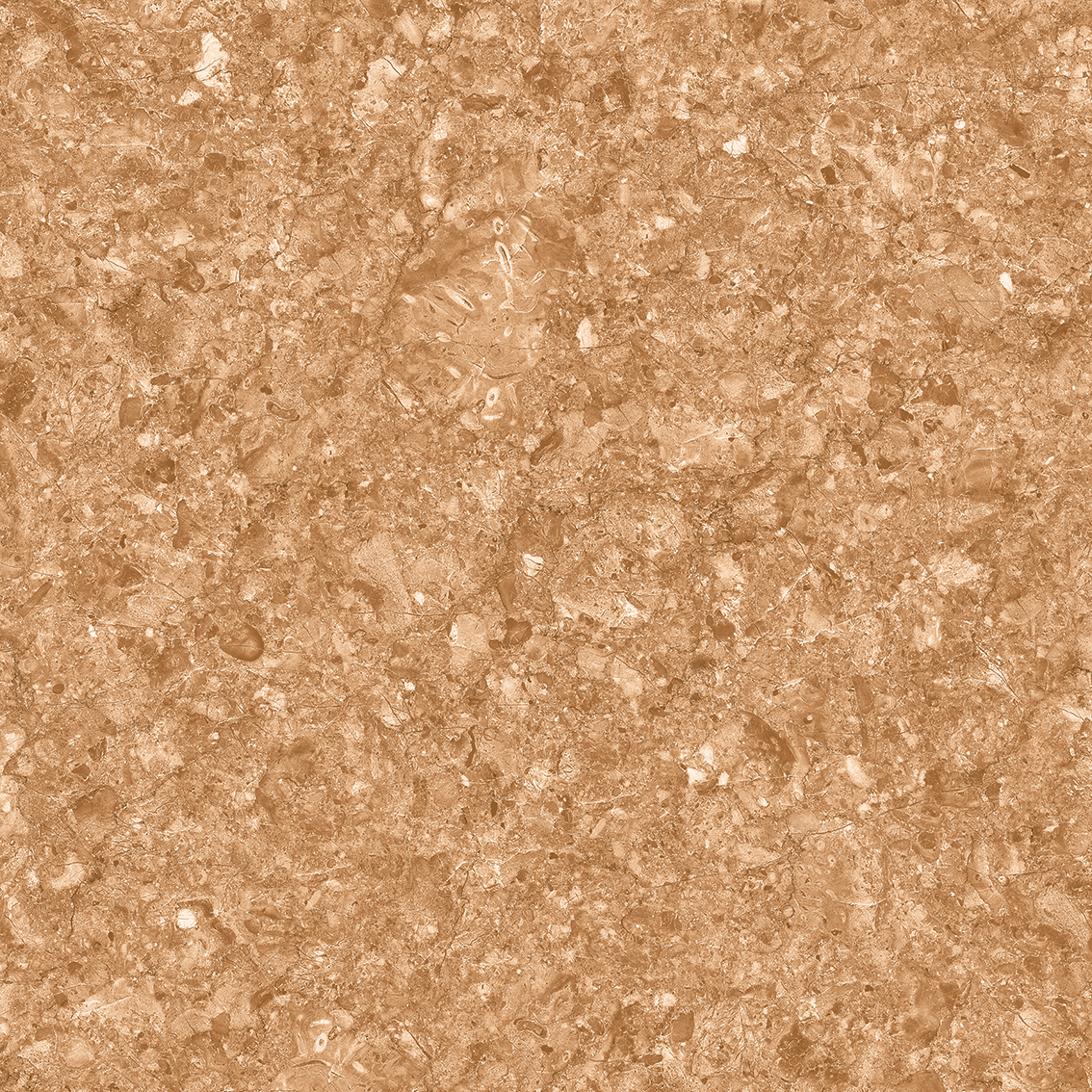 Element Brown 800X800mm Glossy Porcelain Tiles
