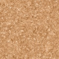 Element Brown 800X800mm Glossy Porcelain Tiles