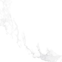 Elica Statuario 800x800mm Glossy Porcelain Tiles
