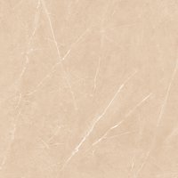 Emporio Armani Brown 800x800mm Glossy Porcelain Tiles