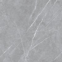 Emporio Armani Gray 800x800mm Glossy Porcelain Tiles