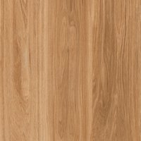 Bricolla Wood Brown 600x600mm Glossy Porcelain Tiles