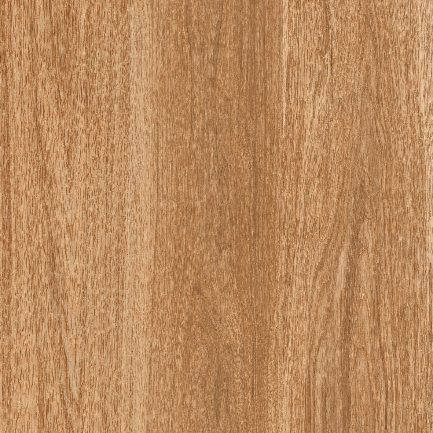 Bricolla Wood Brown 600x600mm Glossy Porcelain Tiles