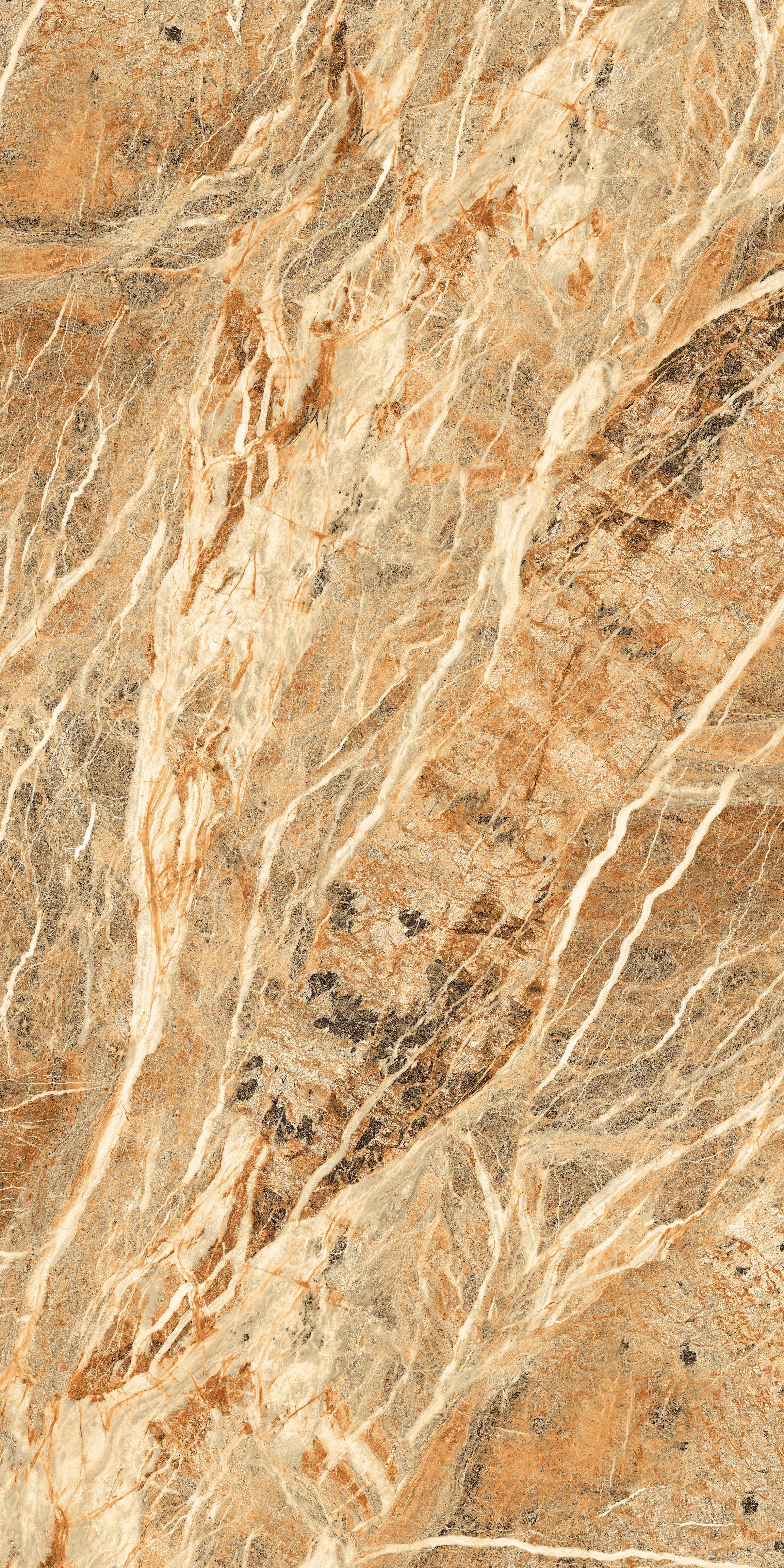 Fossil Gold 800X1600MM GLOSSY PORCELAIN TILES