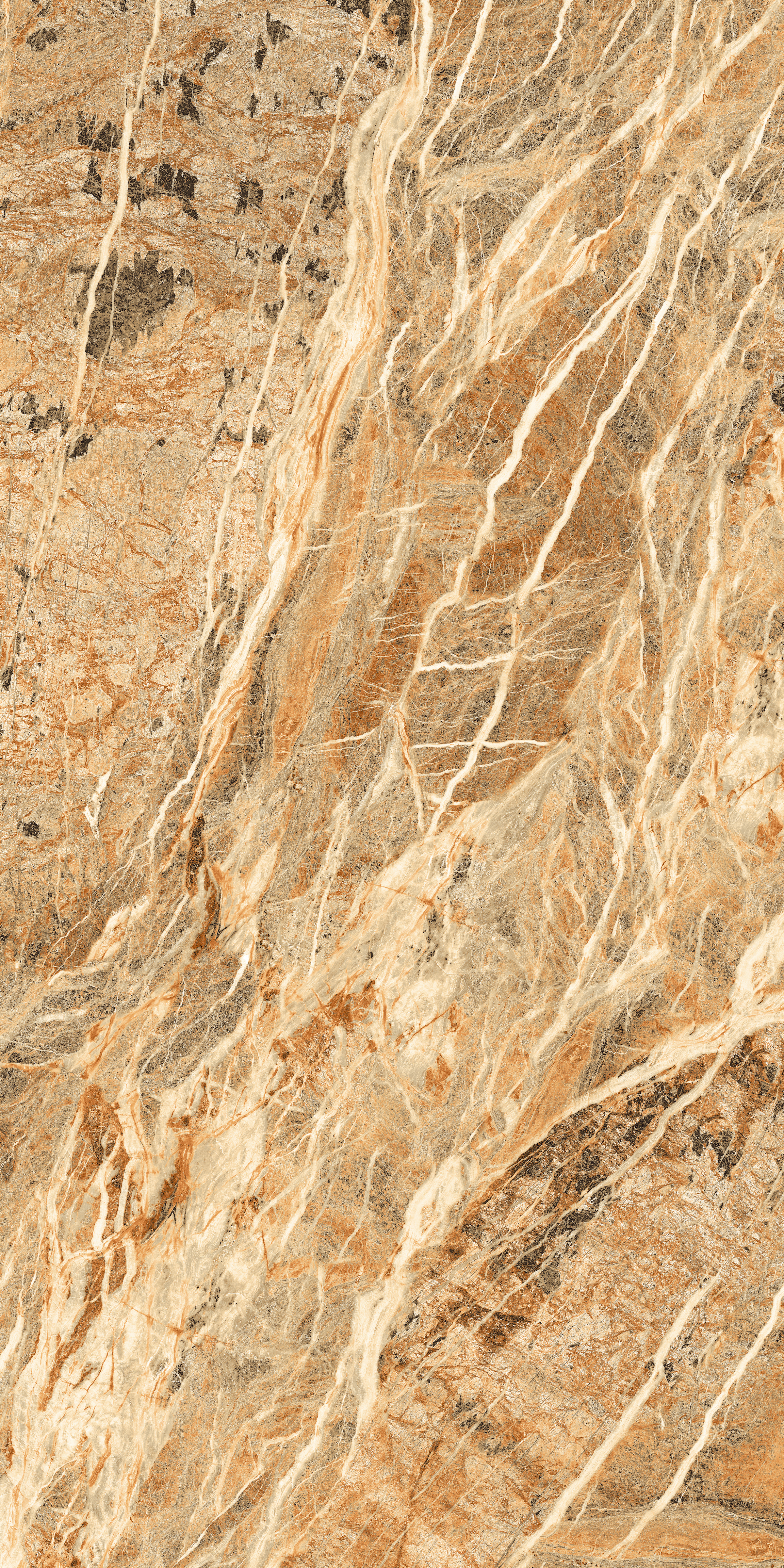 Fossil Gold 800X1600MM GLOSSY PORCELAIN TILES