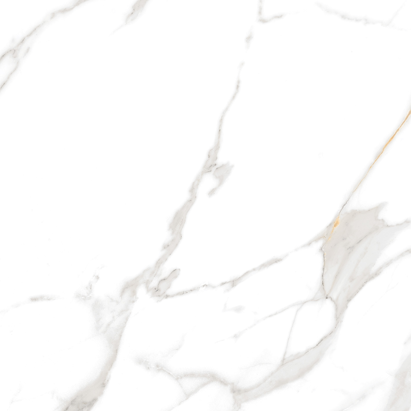 Neptune Statuario 600X600mm GLOSSY PORCELAIN TILES