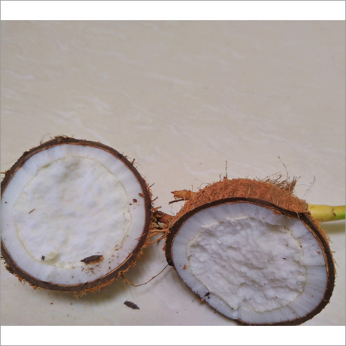 Sprouted Coconut