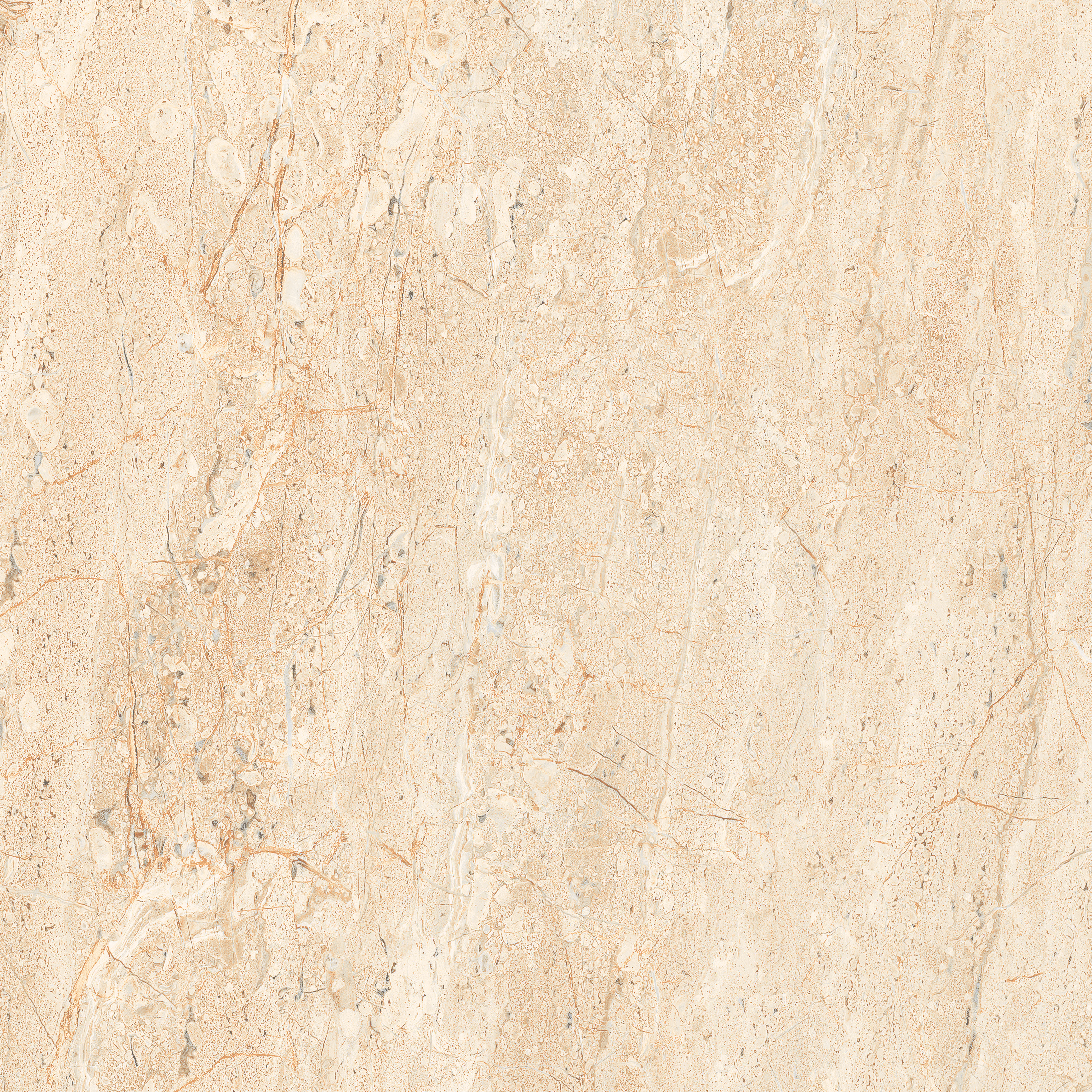 PRIME DYNA 600X600mm GLOSSY PORCELAIN TILES