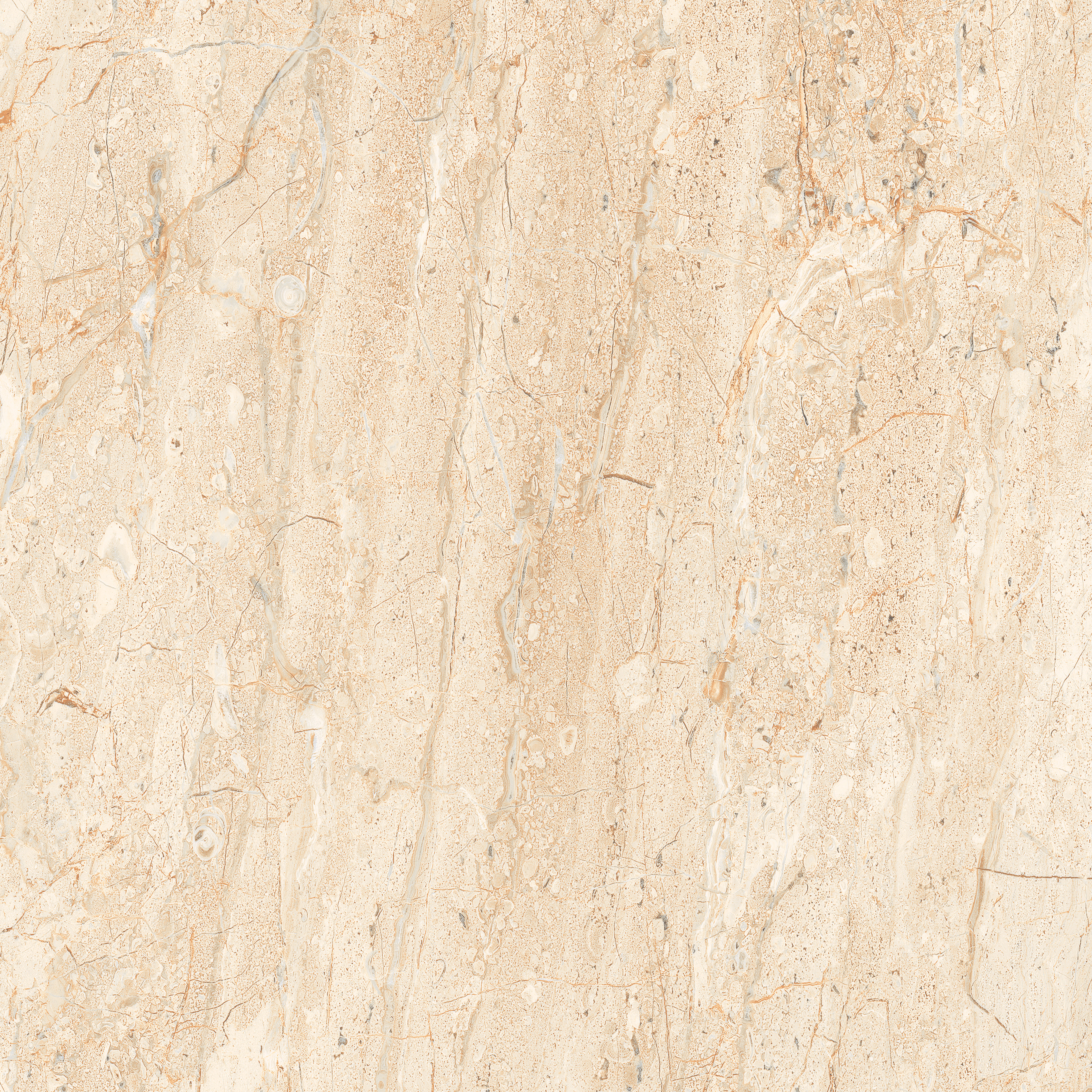 PRIME DYNA 600X600mm GLOSSY PORCELAIN TILES