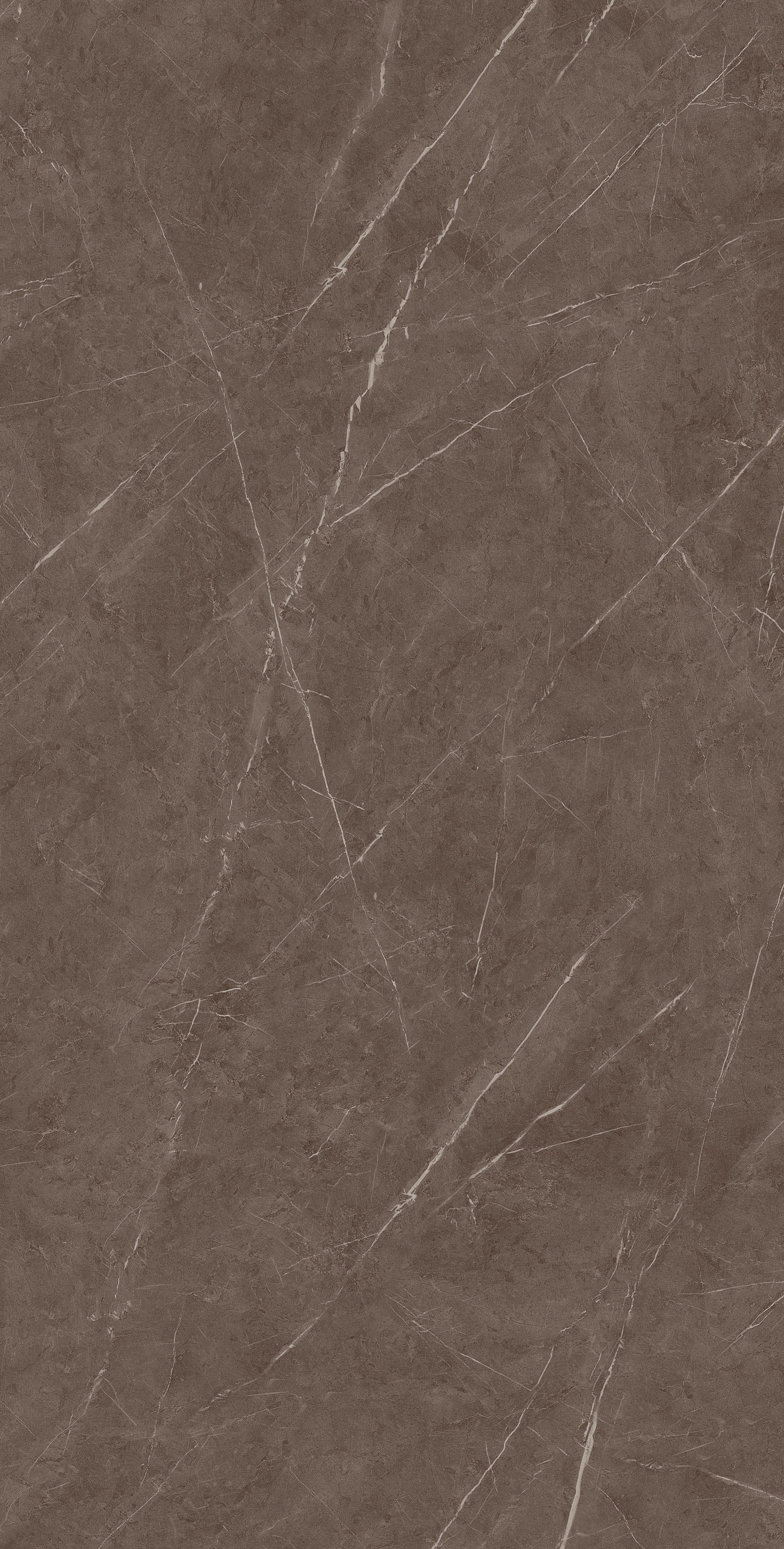 Pietra Beige 800x1600mm Glossy Porcelain Tile