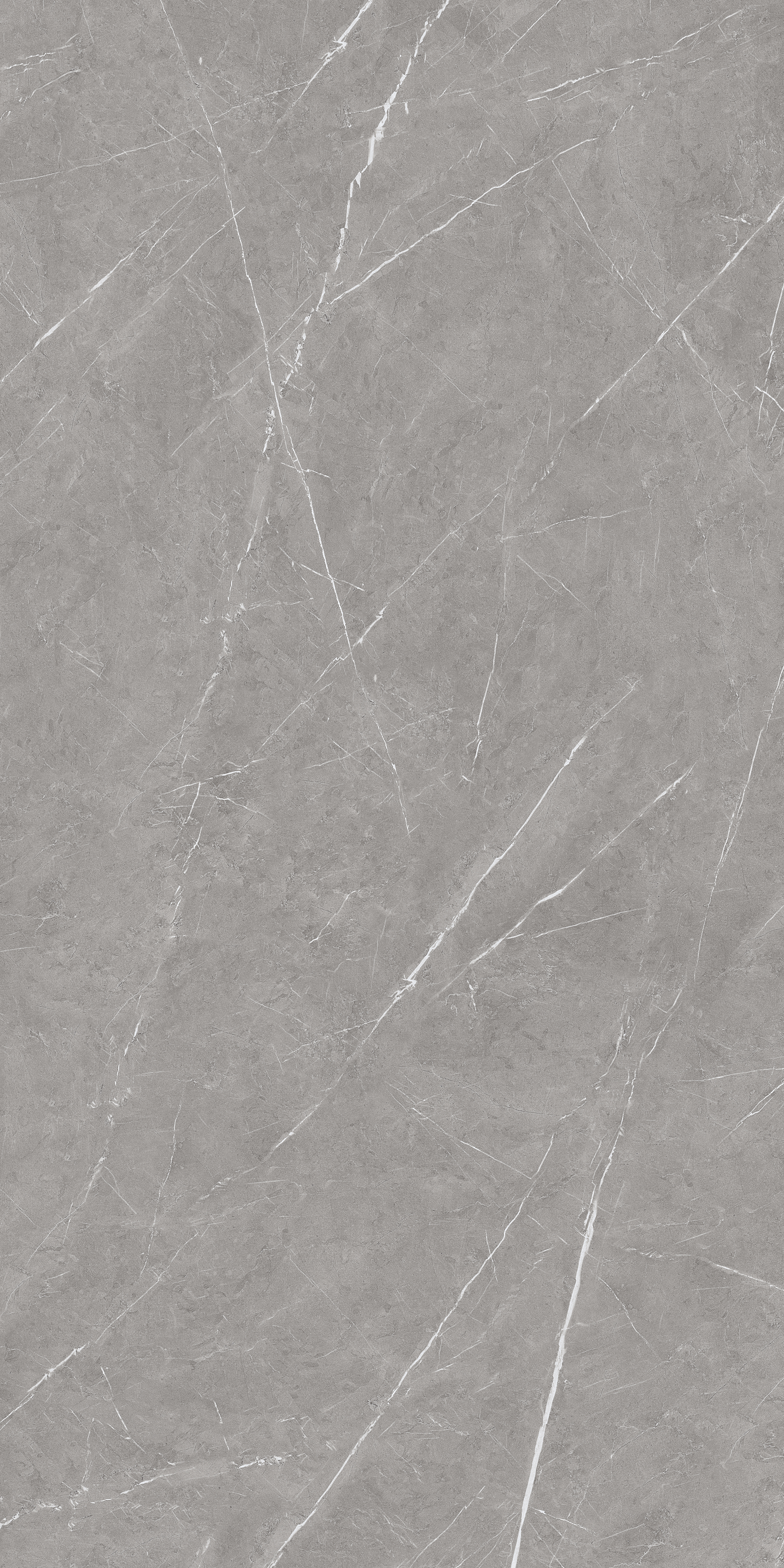 Pietra Grey 800x1600mm Glossy Porcelain Tile