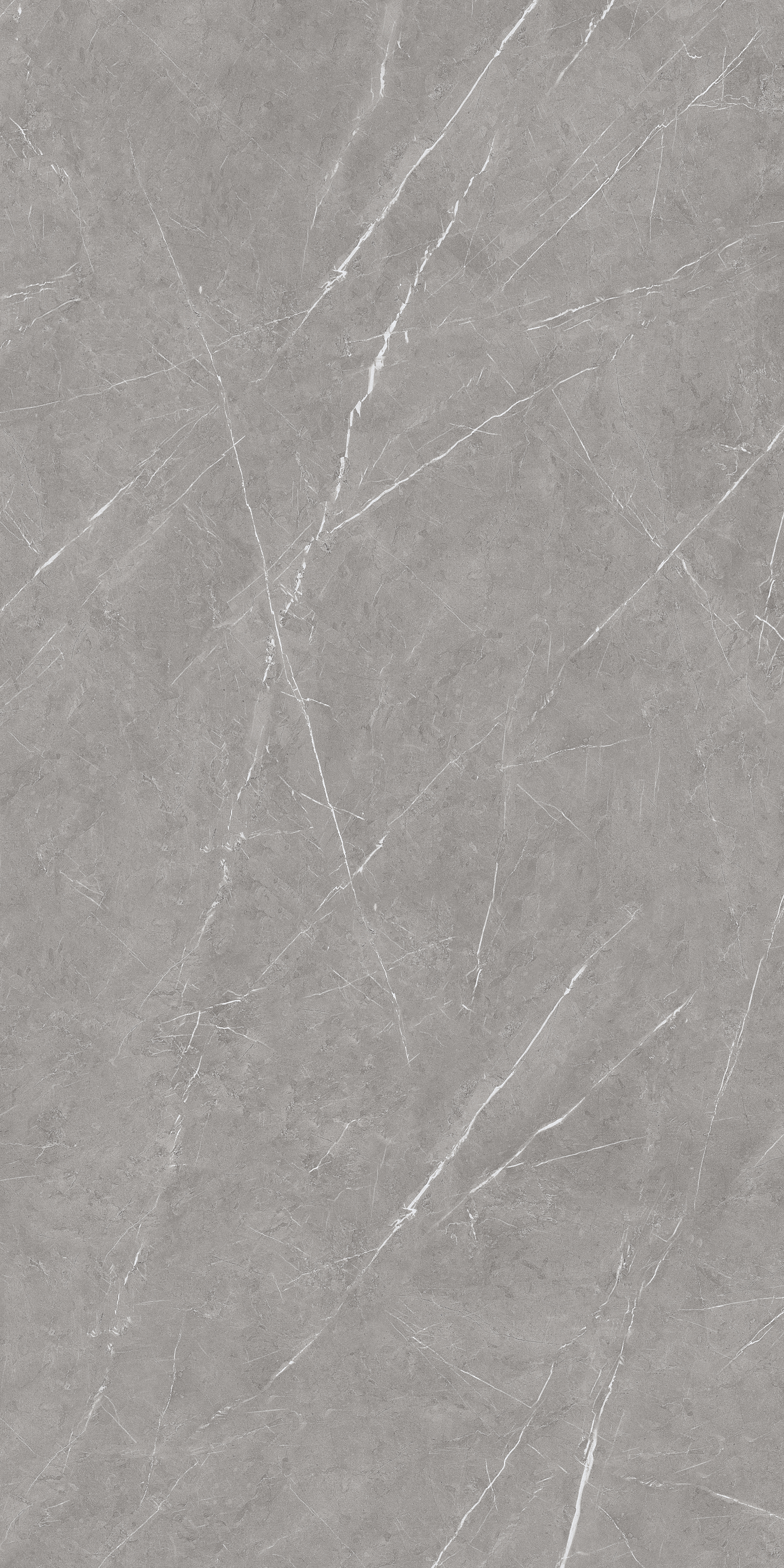 Pietra Grey 800x1600mm Glossy Porcelain Tile