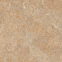 SAHARA BROWN 600X600mm GLOSSY PORCELAIN TILES