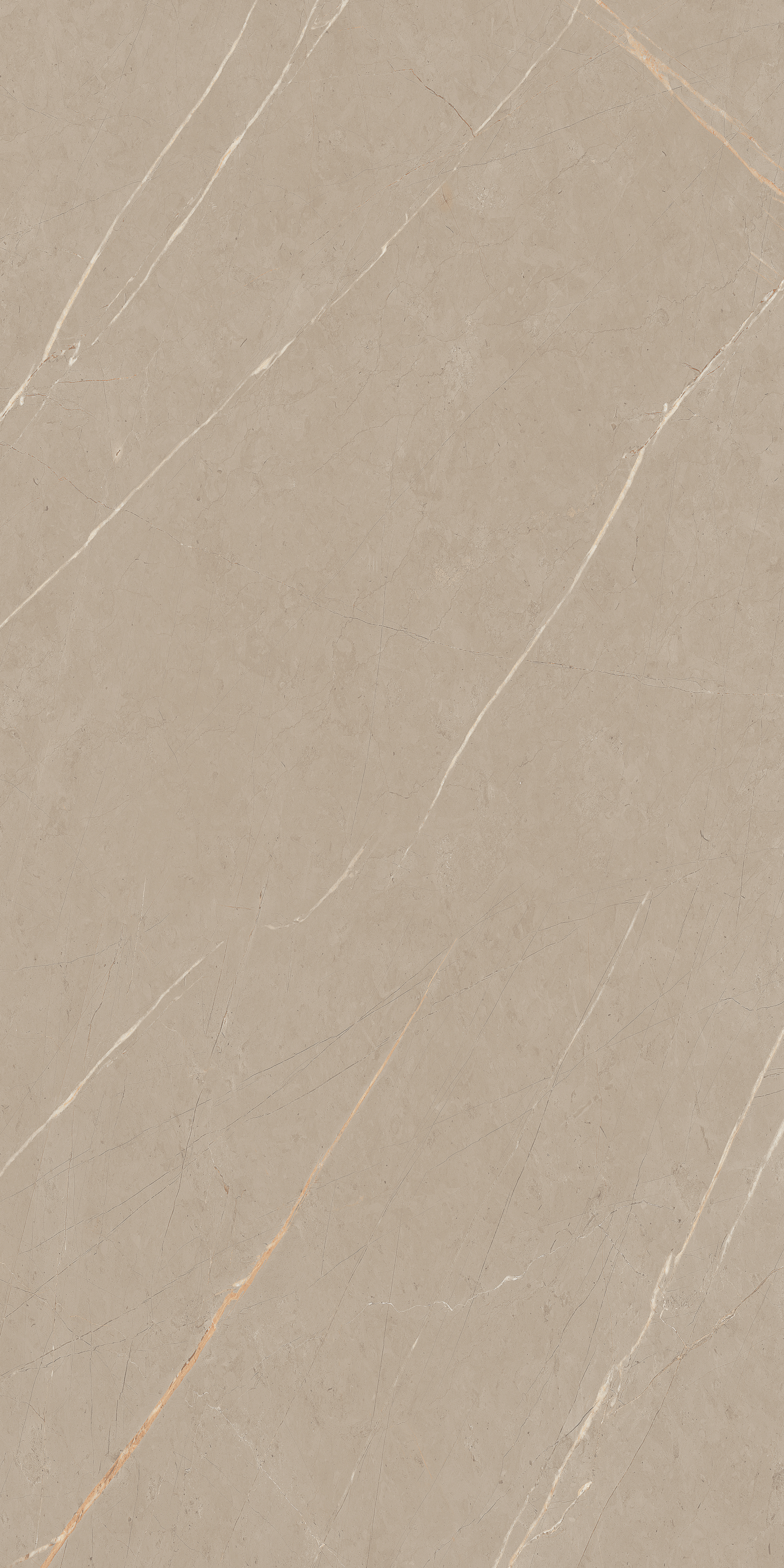 SWISS PEARLA 800X1600MM GLOSSY PORCELAIN TILE