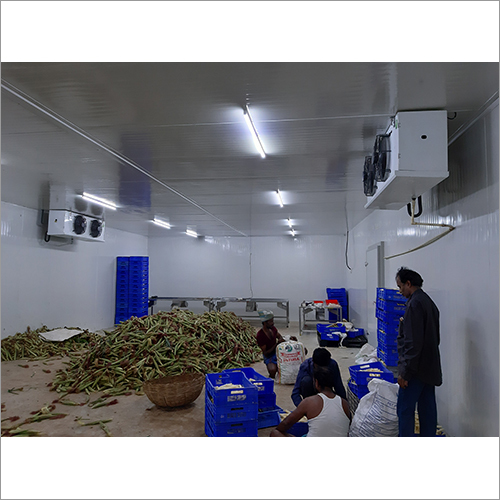 Modular Cold Room